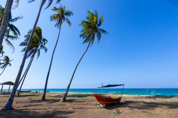 Où découvrir les meilleures sources d'eau chaude naturelles en Japon : lieux et conseils ?