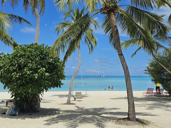 Comment participer à des festivals de musique folk en Irlande sans billet?